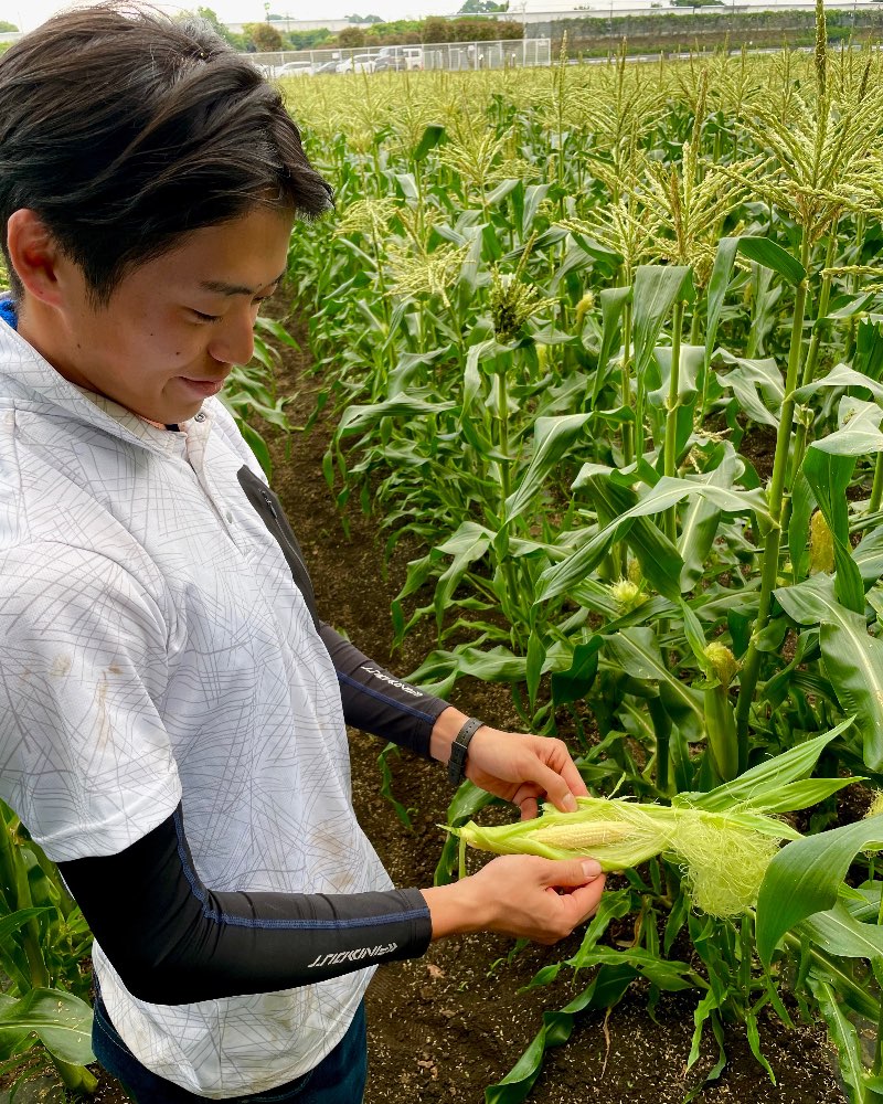 神奈川の食材